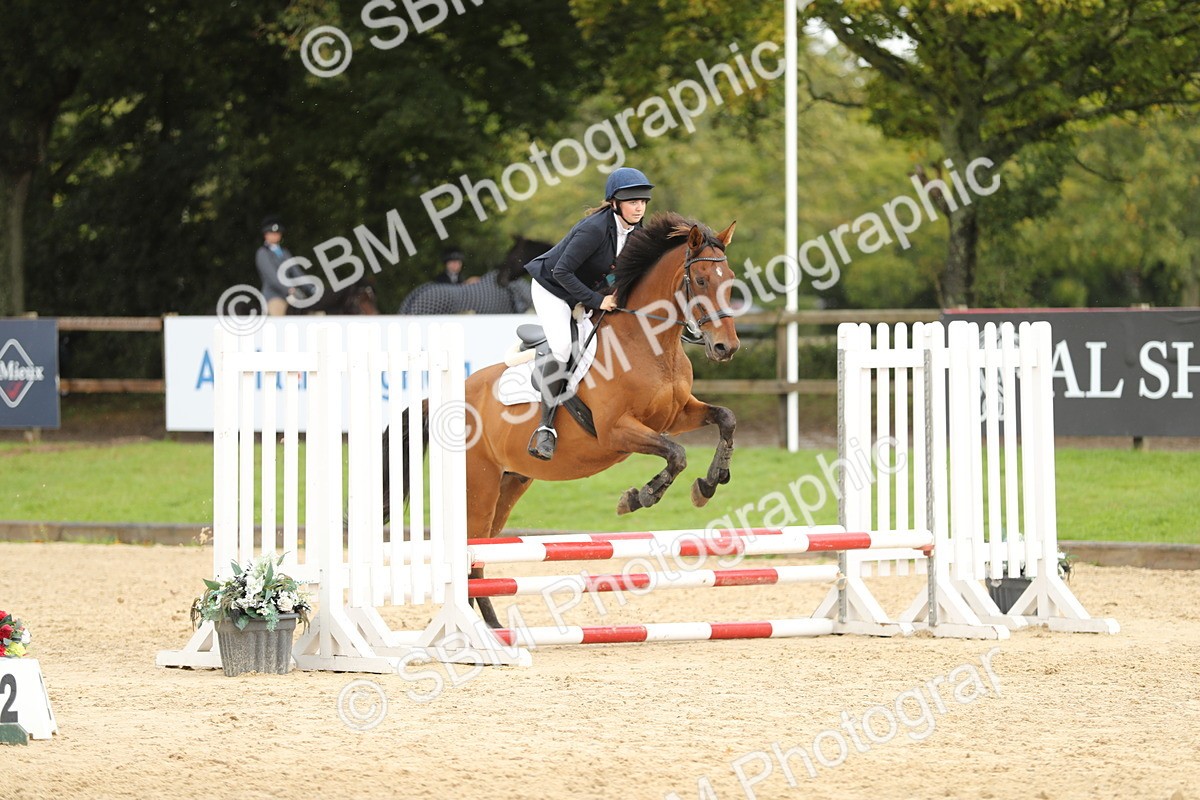 SBM_40435 - J21 - Junior Horse 60cm Championship