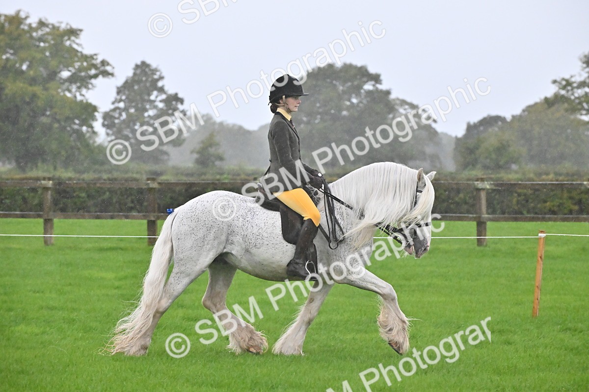 SBM_35659 - S16 - Top Turnout - Ridden