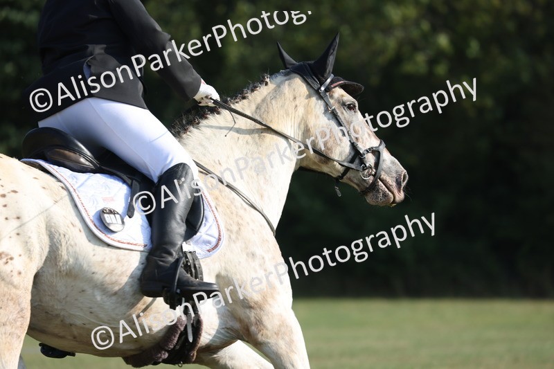 20250731-0083 - Class 2 - Prelim 3