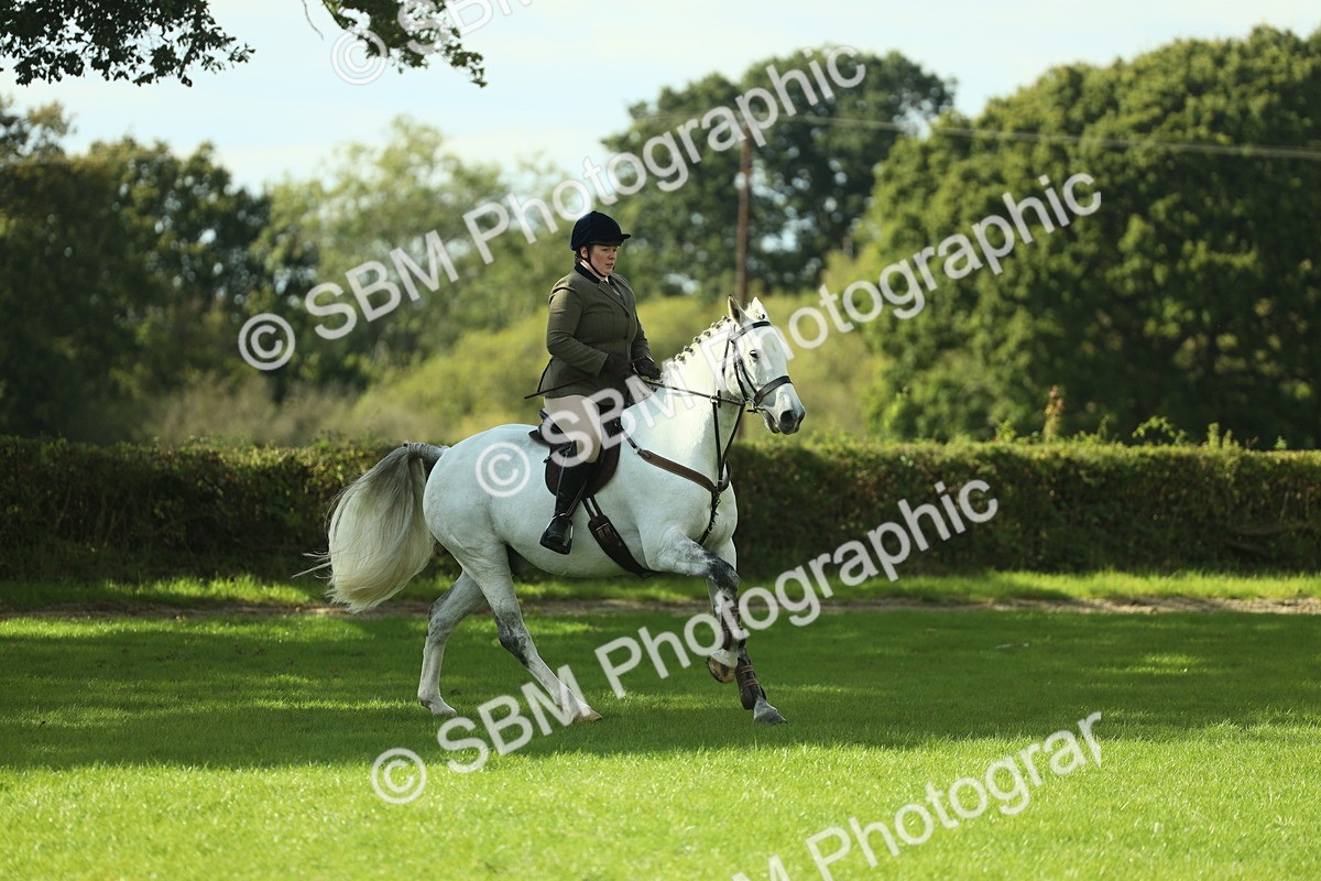 SBM_48059 - S32 - Novice & Newcomers Working Hunter