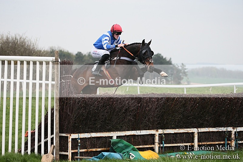 PtP 210418 72 - South & West Wilts Point-to-Point Larkhill 21/04/18
