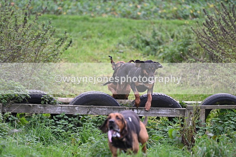 WJ7_8935 - Camera 1 only on this line