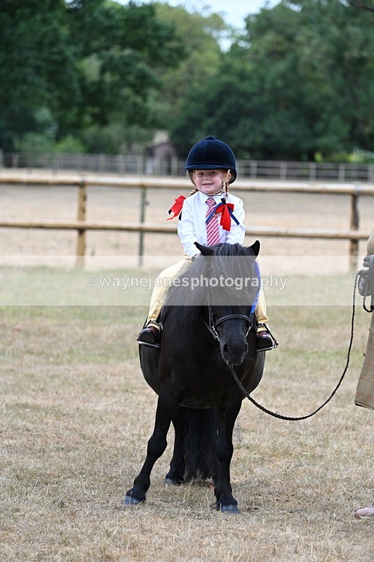 WJ7_8605 - Class 4 Prettiest Mare up to 14.2hh
