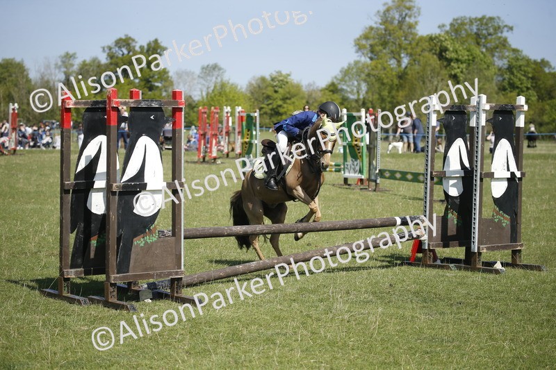 20250427-2114 - Class 13 - Novice Jumping 60cm