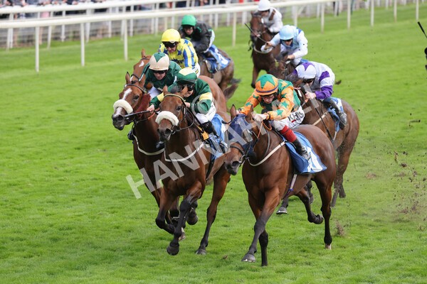 yr24092021r7-26 - Race 7 4.55pm William Hill Free or Four Fillies' Stakes