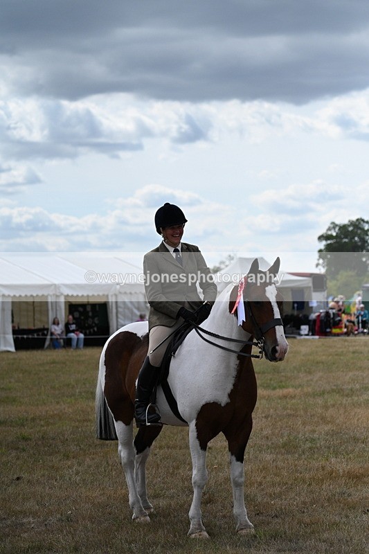 WJ7_5538 - Class 12 Ridden Cob