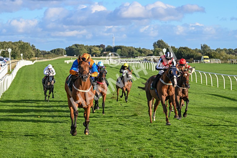 100924-Race 8-Homer Stokes-0873 - Race 8