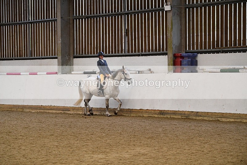 WJ5_7710 - Class 13 Ridden Part Breed