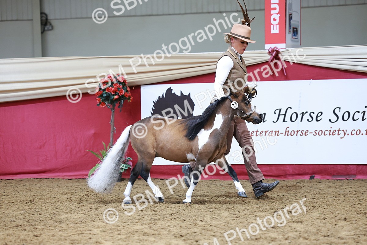 SBM_15722 - Class 110 - IH  Minature Horse