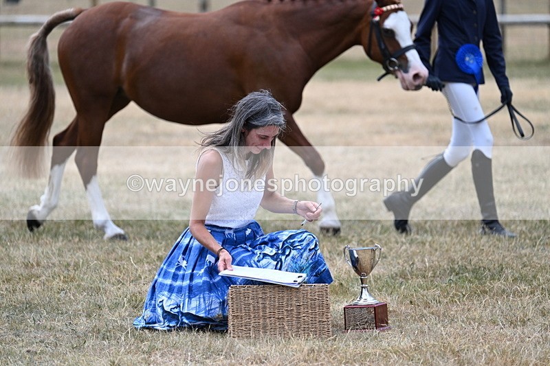 WJ7_2129 - Prettiest Mare Champs