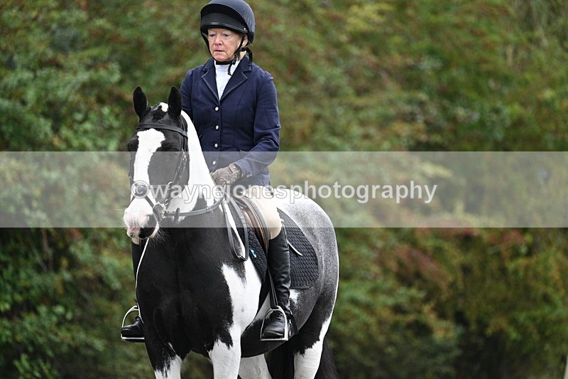 WJ7_3209 - Time 09:54 to 10:54