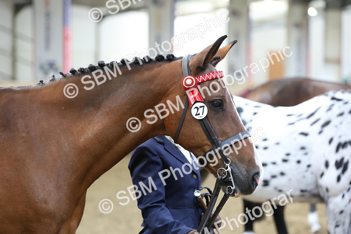 SBM_21862 - Class 901 - Supreme Final - IH  Diamond