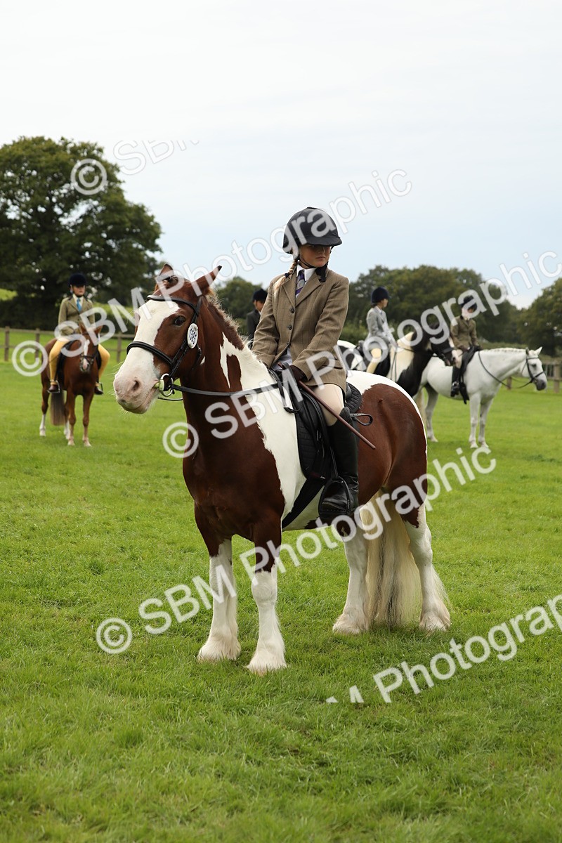SBM_71700 - S41 - Ridden Equitation (Best Rider)