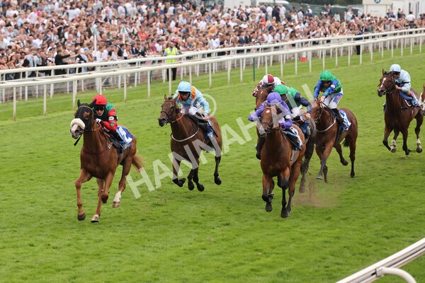 yr24072021r7-45 - Race 7 5.35pm The Sporting Life Fast Results Stakes