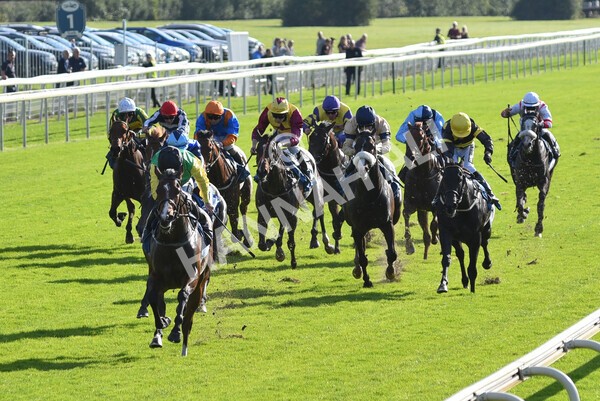 yr08102021r2-16 - Race 2 2.40pm Racing to School EBF Novice Stakes
