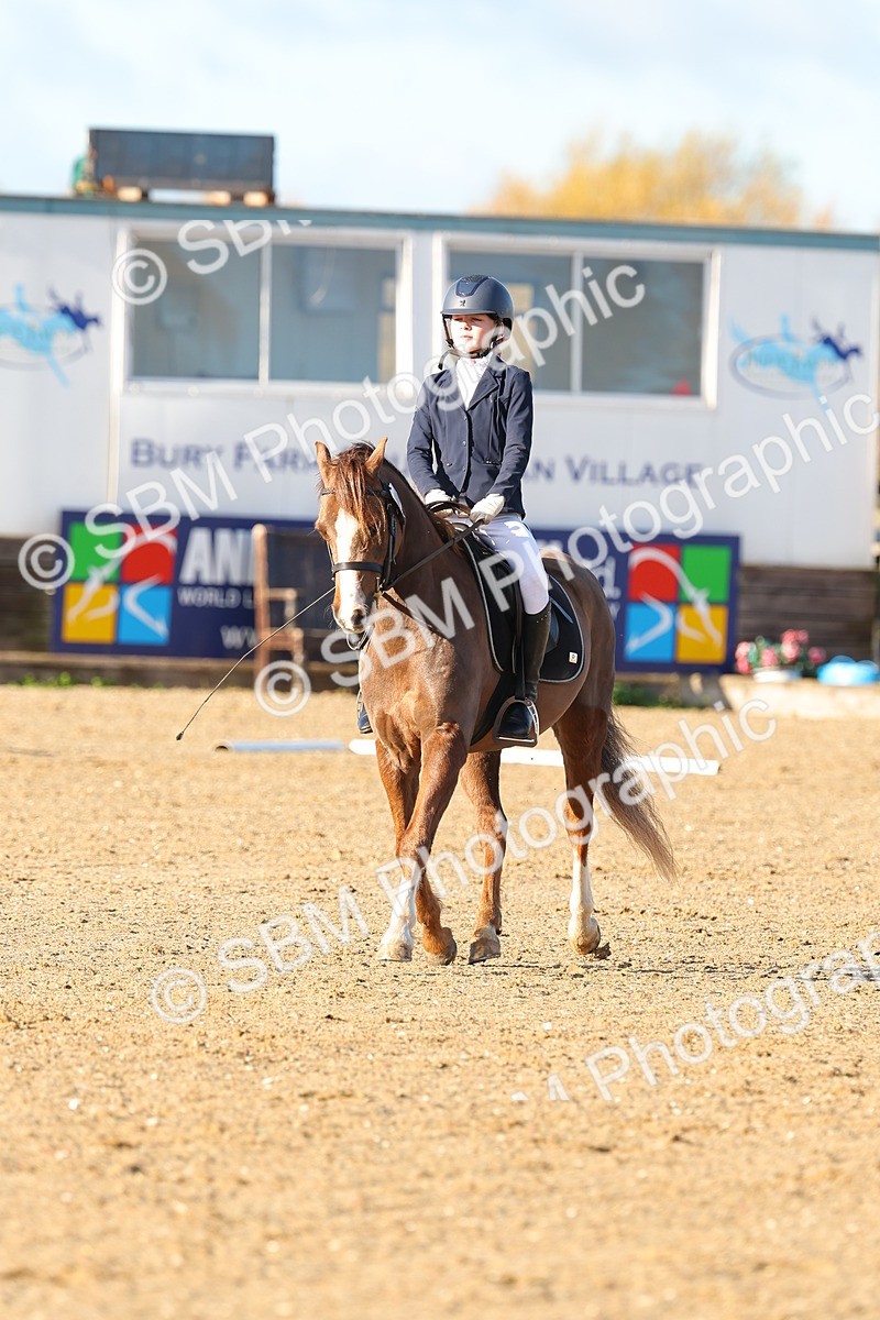 SBM_000229 - Prelim 5