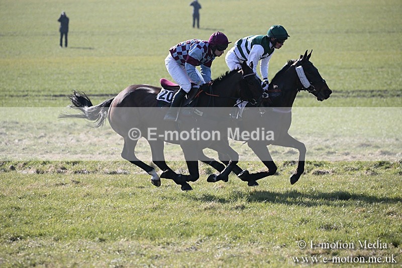 PtP 240218 10 - Vine & Craven Hunt Point-to-Point Barbury racecourse 24/02/18
