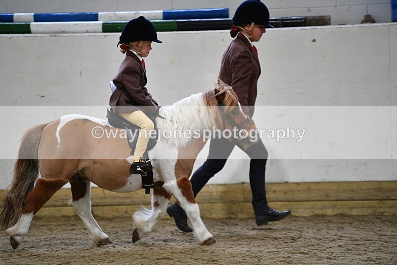 WJ5_6536 - Class 10 Childs Pony