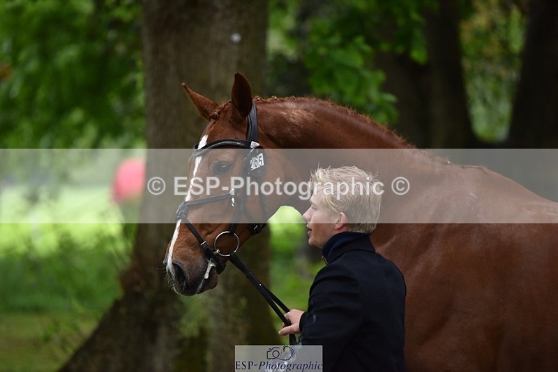 240522-163924-01069 - 265-GREANNANSTOWN_MONBEG_JOE-Finn_Healy