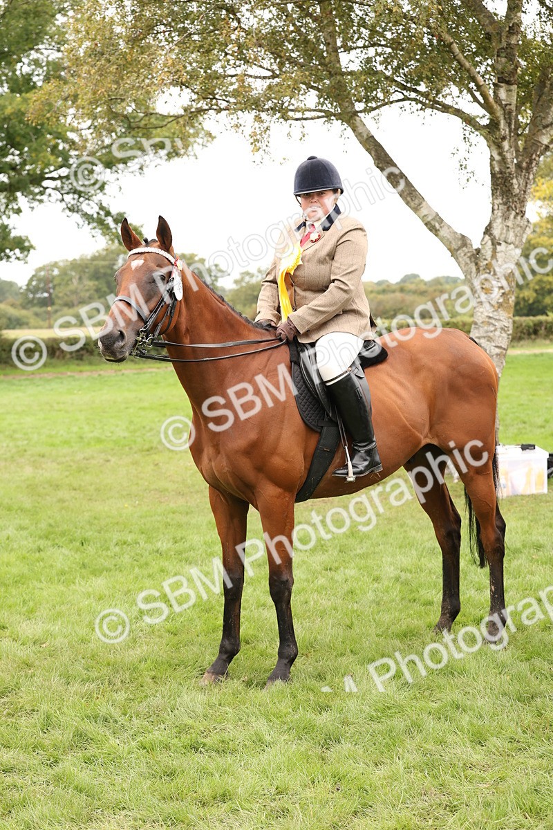 SBM_64343 - S65 - Riding Horse & Hack & Thoroughbred Ridden