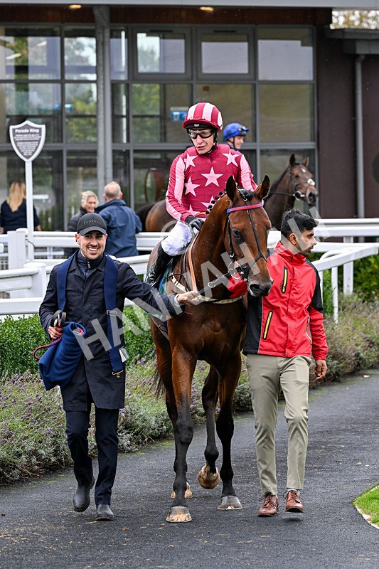 011025-Race 3-Real American-0266 - Race 3