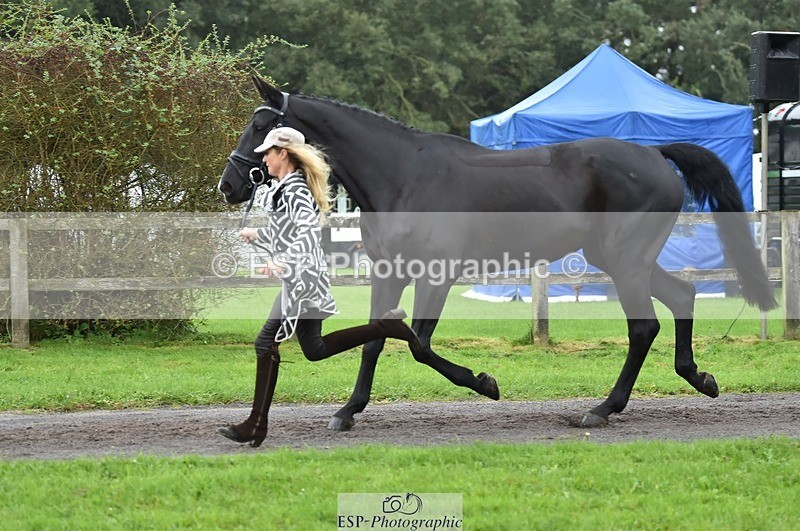 231018-124308-00472 - 056-WILLOW.BDA-Lisa.Maynard-TrotUp