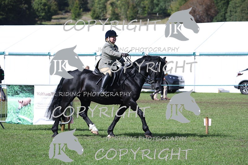 APP_3506 - Class 12 M&M ridden