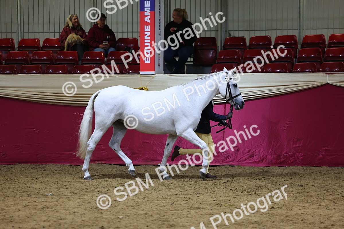 SBM_18671 - Class D IH Pony Champ