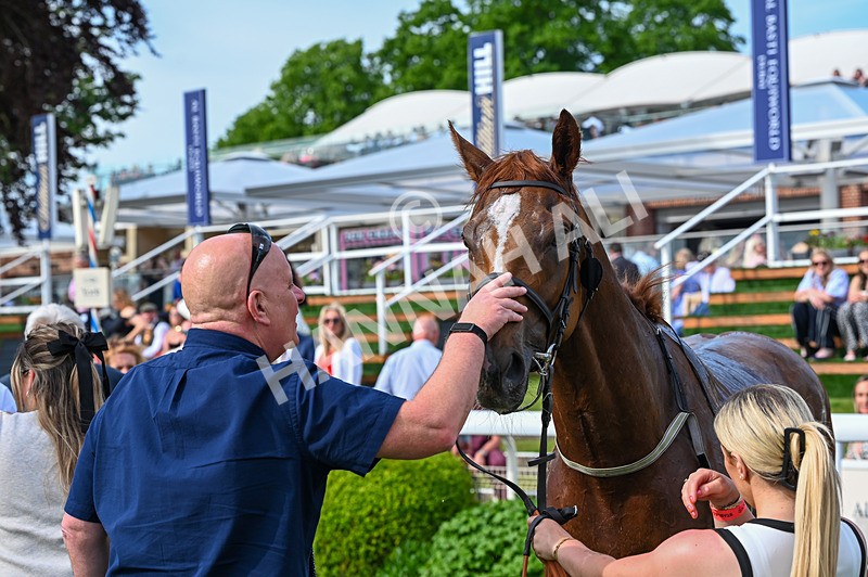 230526-Race 7-Golden Strike-8119 - Race 7 17.00pm William Hill Boosts Every Day Handicap