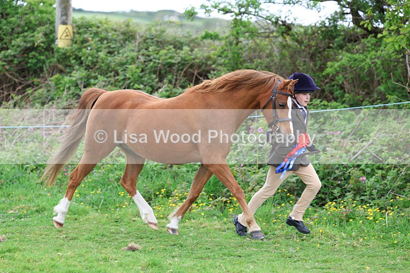 3E7A0824 - In Hand Championship