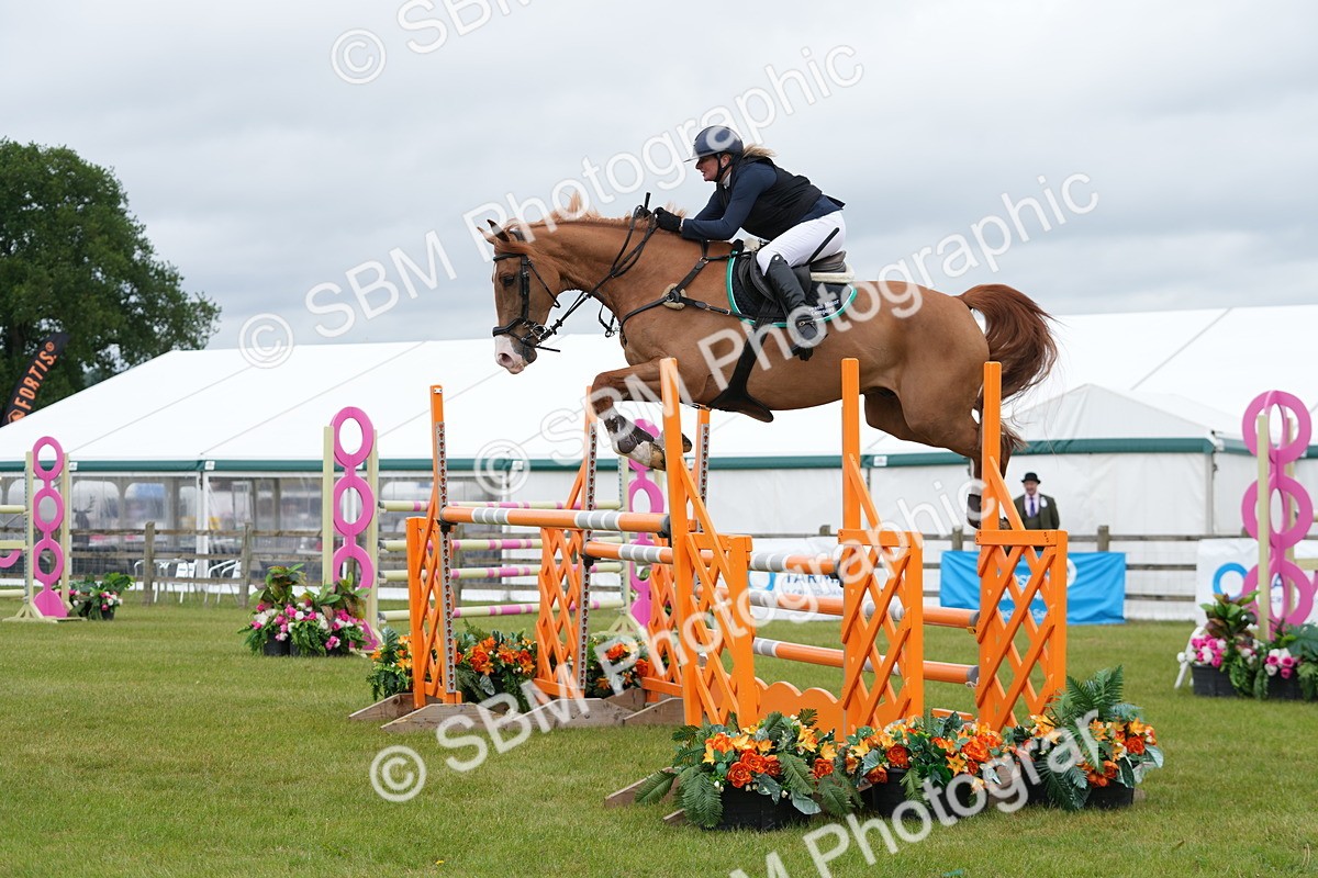 SBM_03294 - Class 201 - British Horse Feeds Speedi Beet Horse of the Year Show Grade  C