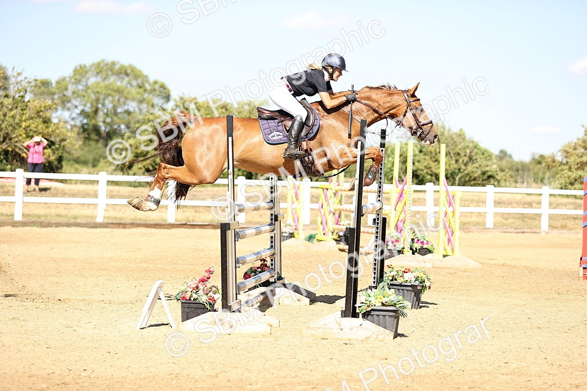 SBM_015537 - Class 16 - Senior foxhunter - 1.20m Open