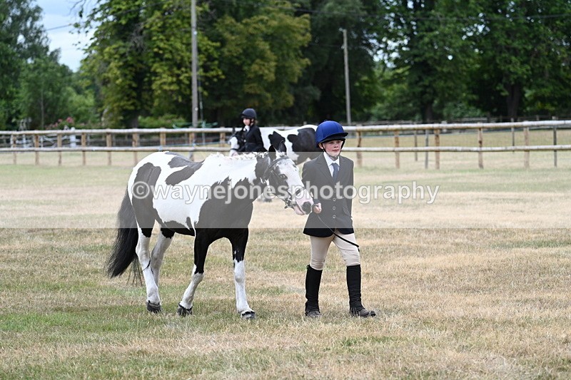 WJ7_1456 - Class 4 Prettiest Mare up to 14.2hh in hand