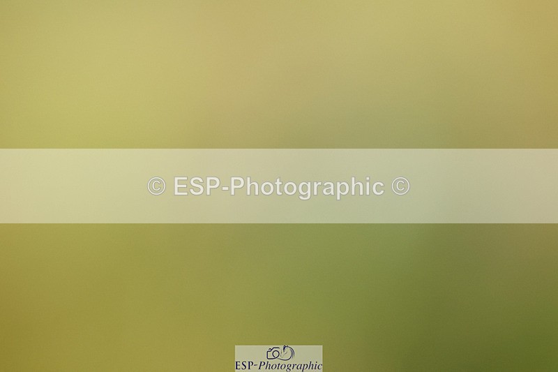 240824X-084516-21861 - D70 Section C and D 8.30 to 9.30