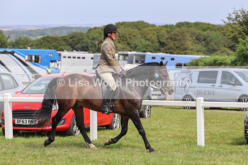 IMG_3732 - M & M Ridden Championship