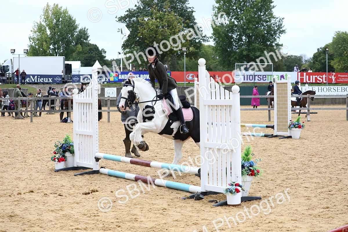 SBM_68304 - J3b - Mini Tour Junior Pony 40cm Championship