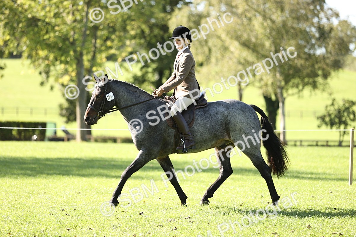 SBM_16912 - S2 - TSR Ridden Pony Showing