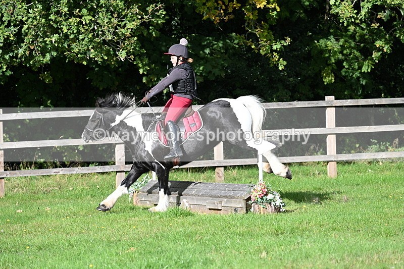 WJ7_3751 - 40cm Time 10:26 to 10:42