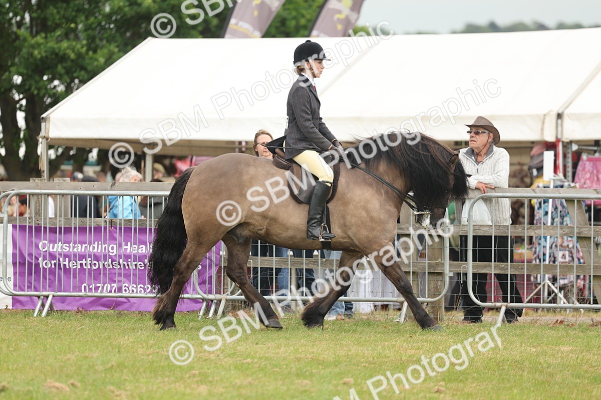 SBM_08935 - Class 78-80 - Ridden M&M Non Welsh Ponies