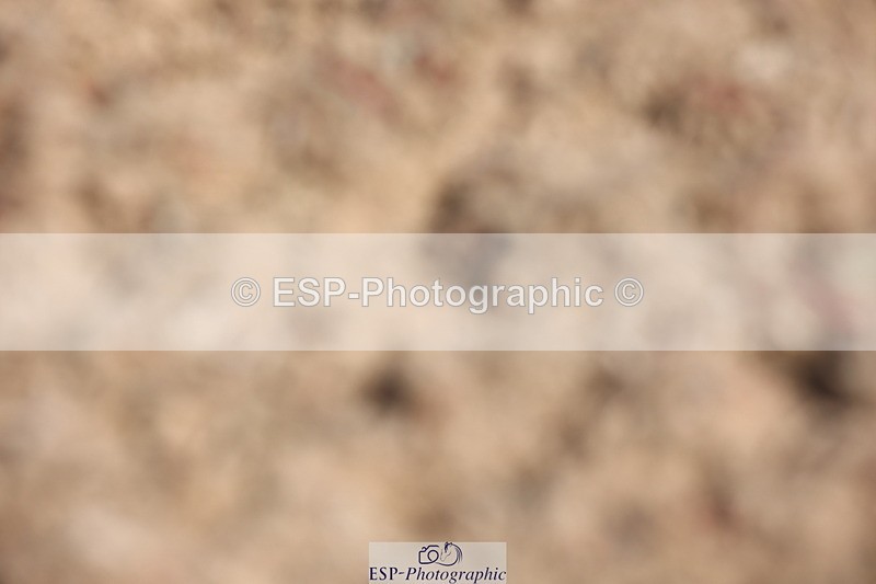 240621A-101058-00082 - Cls 3 BD Music Prelim