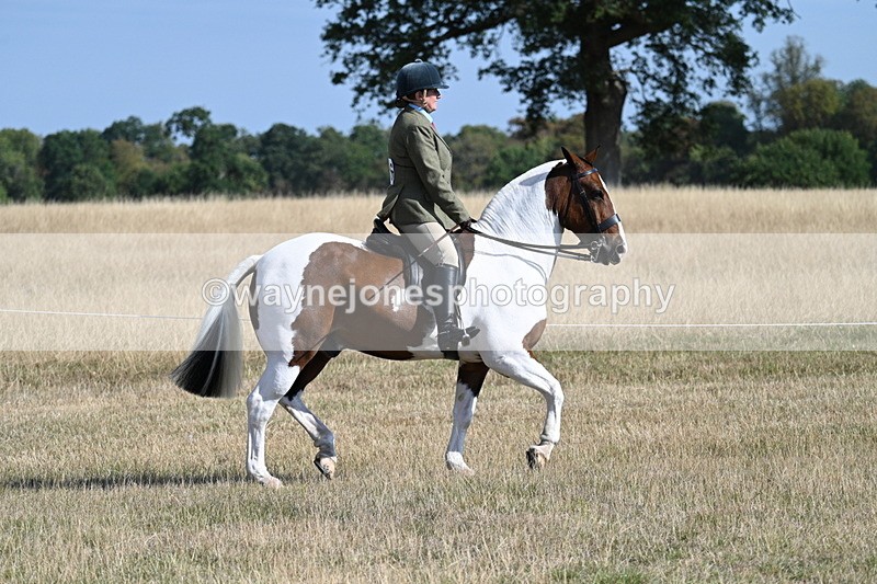 WJ7_2807 - Class 8 Ridden Tack & Turnout
