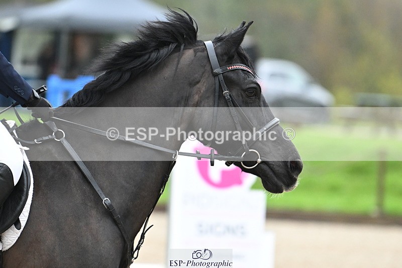 250418A-081631-00072 - NSEA GR 40cm and 50cm