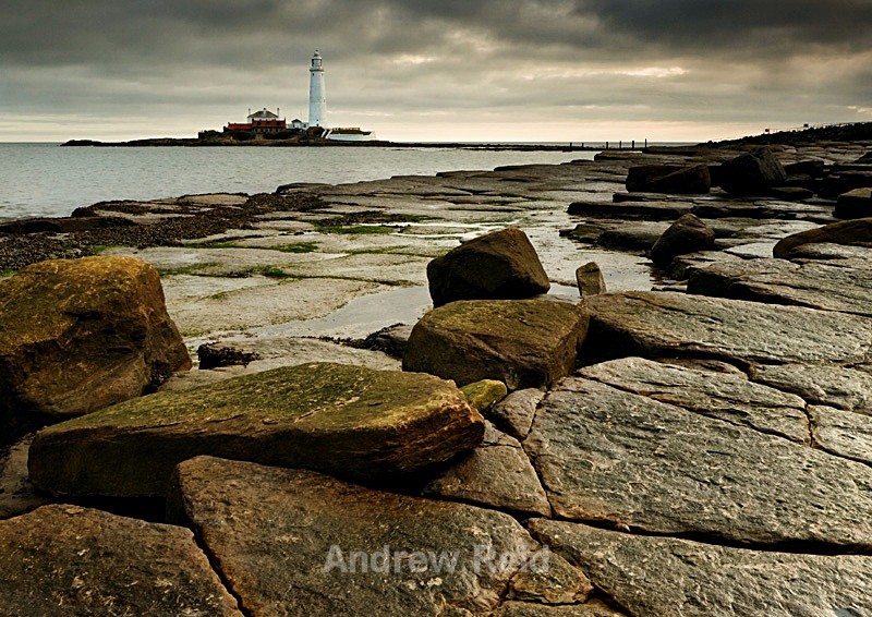 St Marys Light House - Landscapes