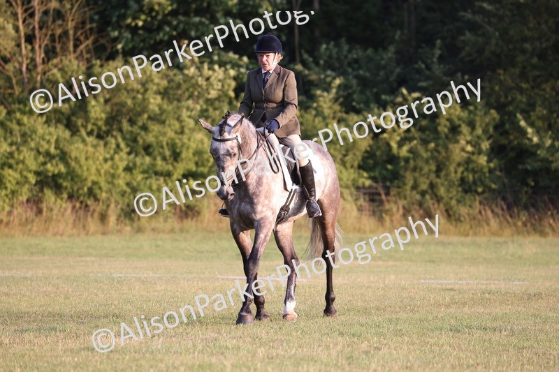 20250731-0466 - Class 3 - Novice 3