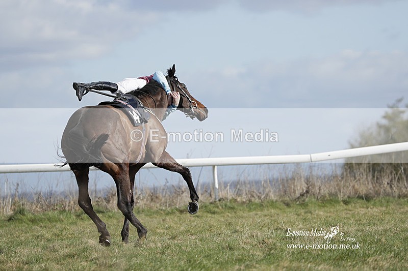 PtP 260223 512 - South & West Wilts Point-to-Point Larkhill 26/02/23