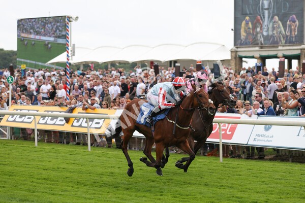 yr11062022r2-81 - Race 2 2.00pm Queen Mother's Cup