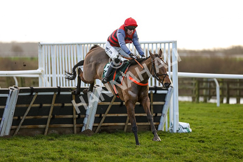 281223-Race 4-Lavida Adiva-3433 - Race 4