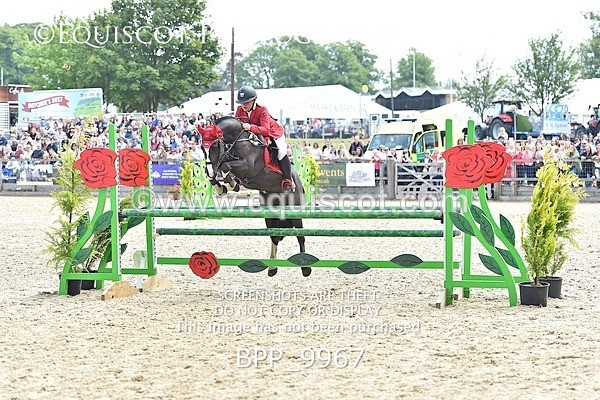 BPP_9967 - RHS 2019 Selection - *Just some random spectator shots so Lucky Dip if you are there!