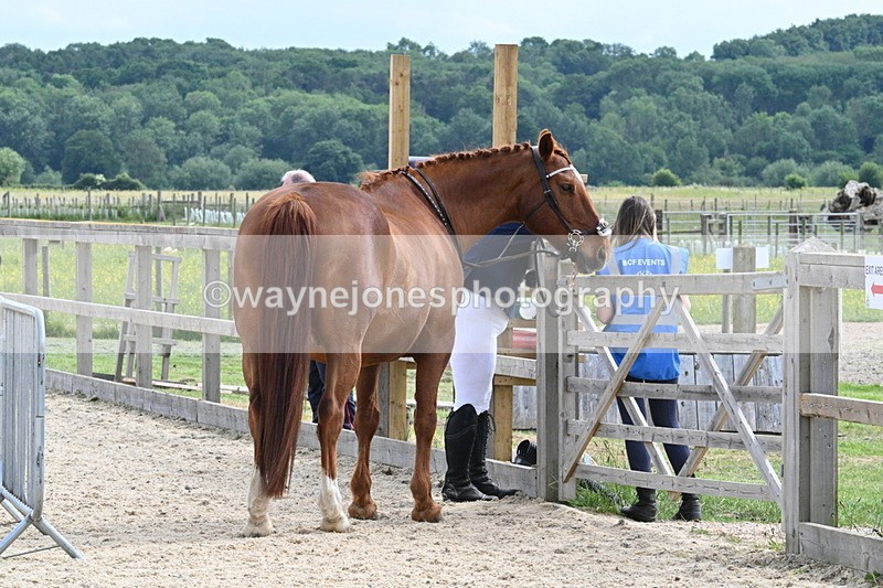 WJ7_7958 - Time 15:39 to 16:08