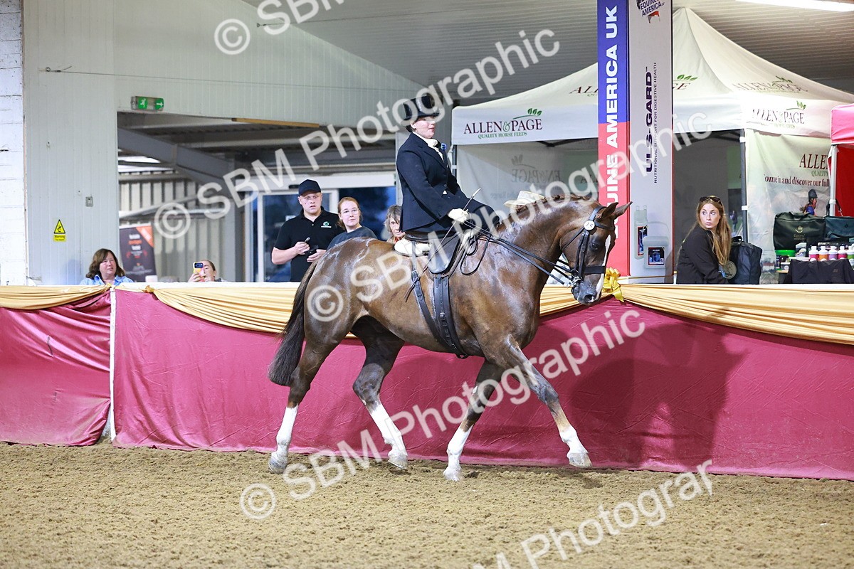 SBM_15022 - Class N - Side Saddle Champ